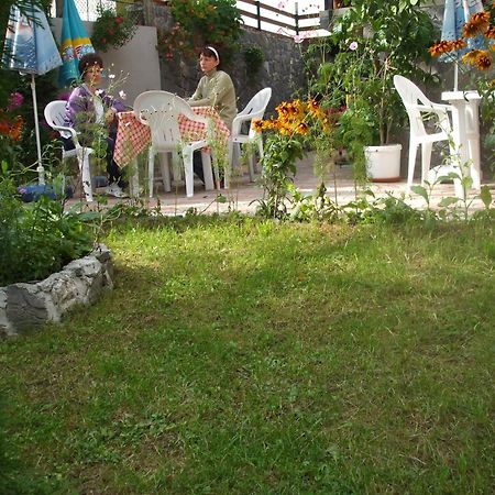 Vila Ana-Maria Сіная Екстер'єр фото