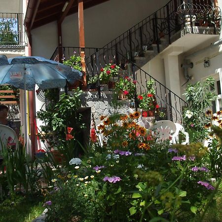 Vila Ana-Maria Сіная Екстер'єр фото