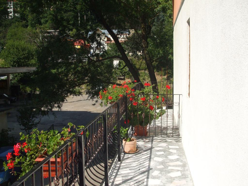 Vila Ana-Maria Сіная Номер фото