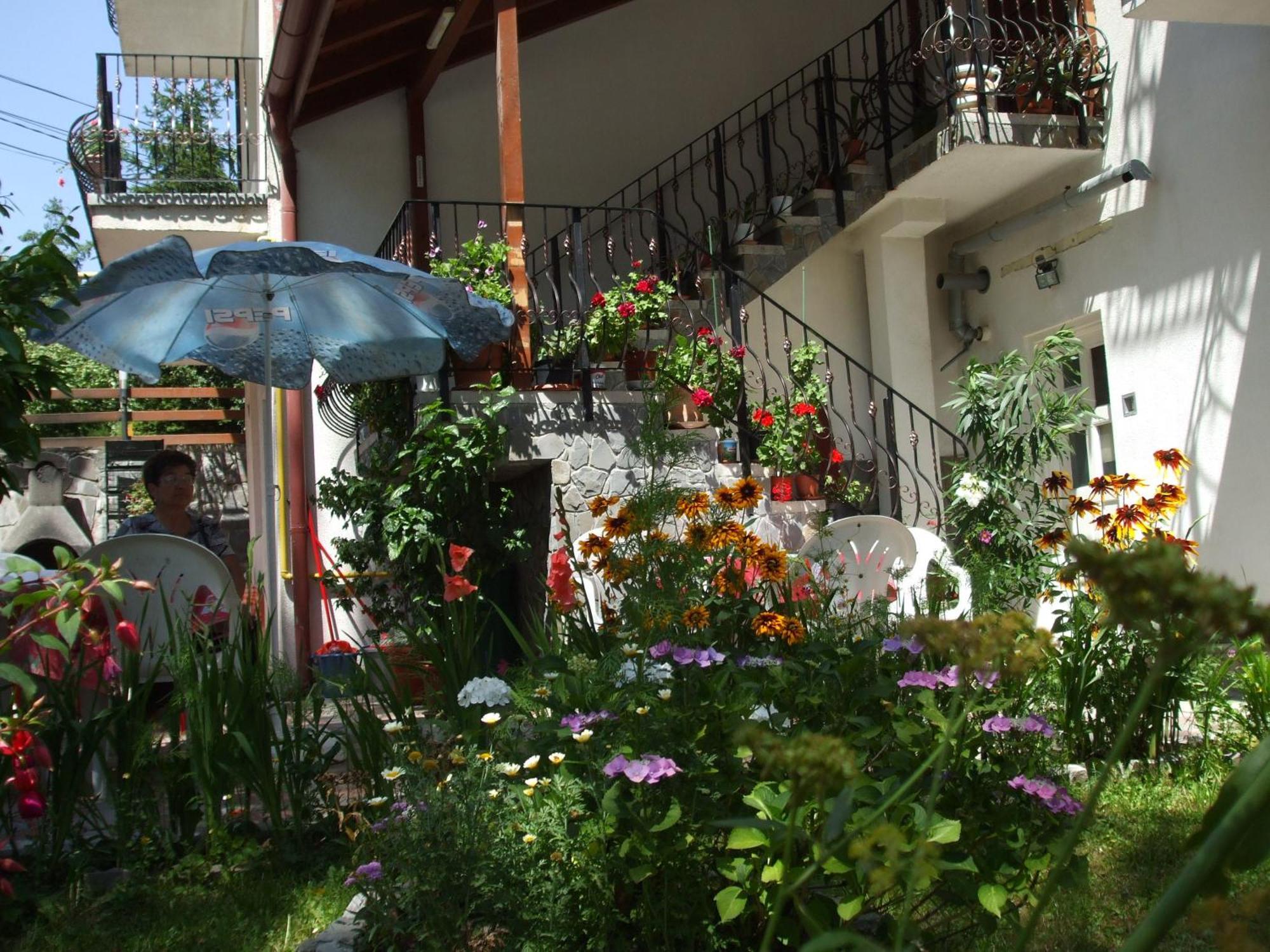 Vila Ana-Maria Сіная Екстер'єр фото