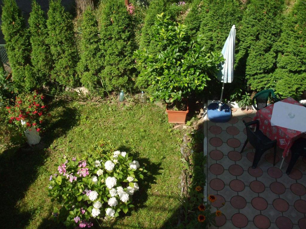 Vila Ana-Maria Сіная Екстер'єр фото