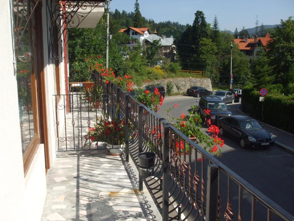 Vila Ana-Maria Сіная Екстер'єр фото